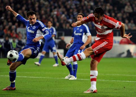 的双向奔赴 的双向奔赴