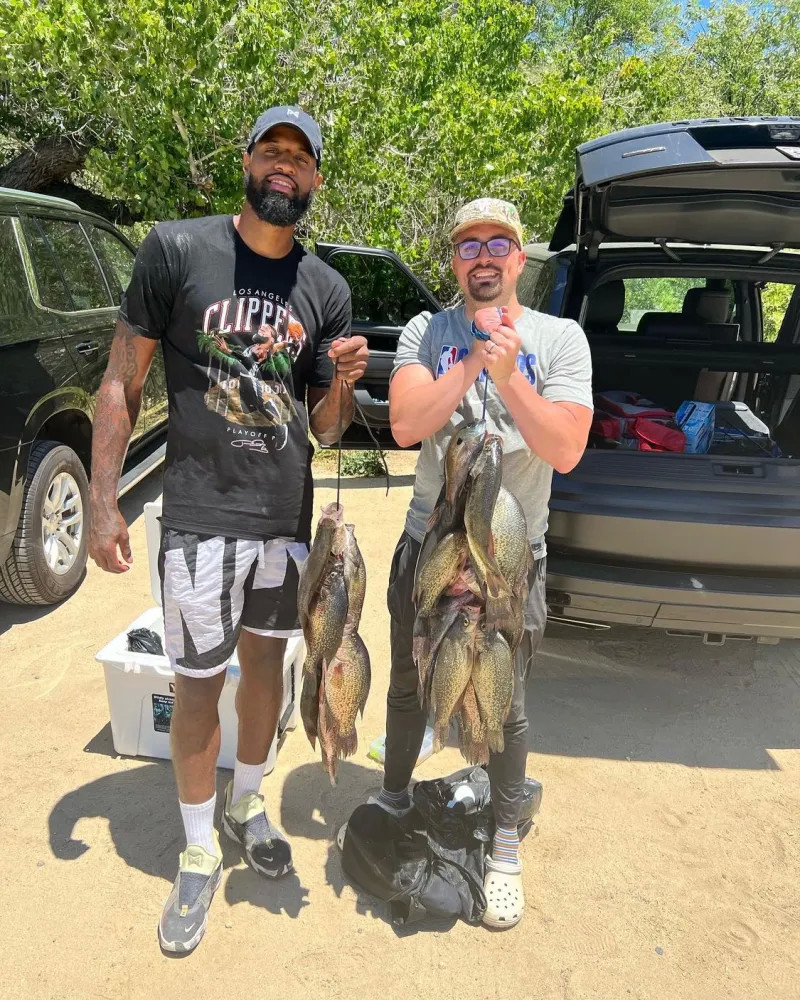 战术适配度 战术适配度